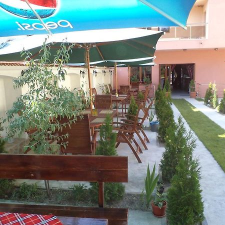 Tzvetelina Palace Hotel Dolna Banya Exterior foto