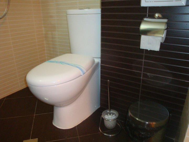 Tzvetelina Palace Hotel Dolna Banya Zimmer foto