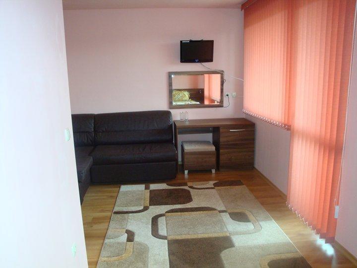 Tzvetelina Palace Hotel Dolna Banya Zimmer foto