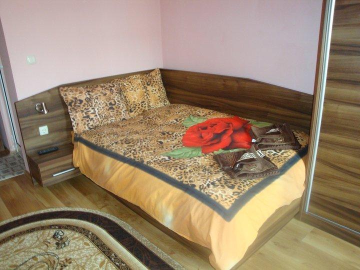 Tzvetelina Palace Hotel Dolna Banya Zimmer foto