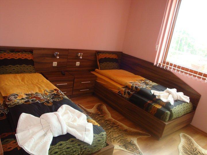 Tzvetelina Palace Hotel Dolna Banya Zimmer foto