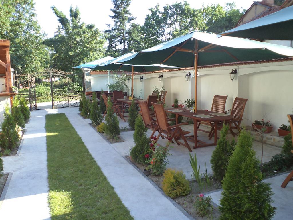 Tzvetelina Palace Hotel Dolna Banya Exterior foto